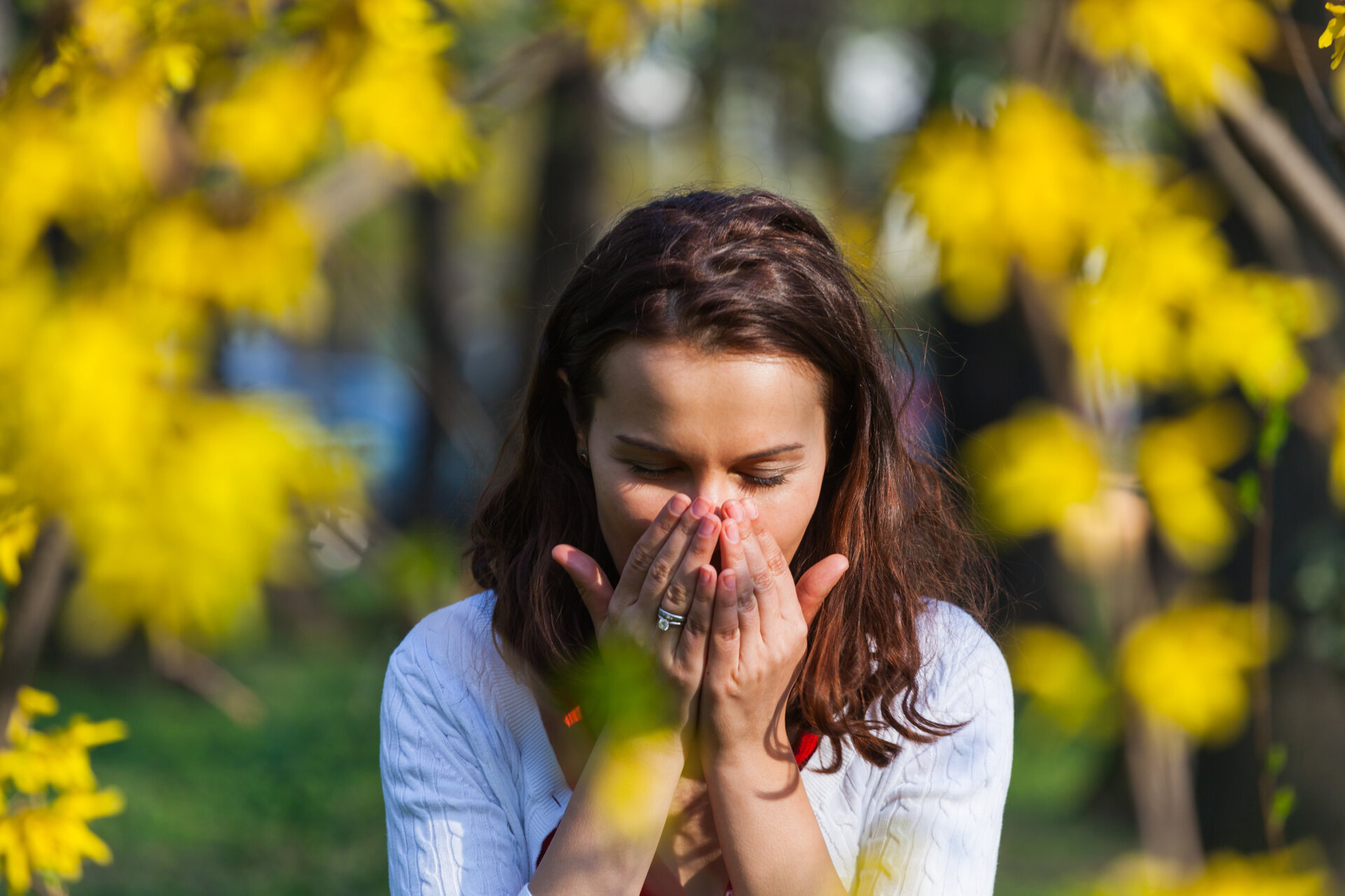 Allergie Analizzate Con Un Solo Prelievo Del Sangue Il Test Di