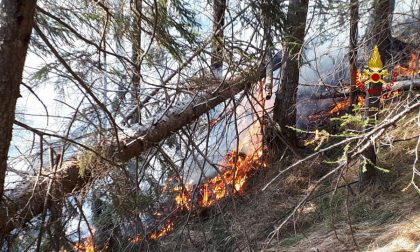 San Pietro di Cadore, fiamme nel bosco schiantato da Vaia