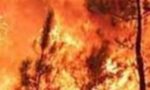 Pedavena, i vigili del fuoco domano un incendio che stava per minacciare le abitazioni