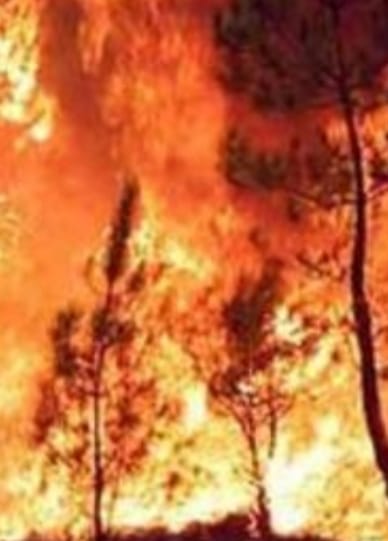 Pedavena, i vigili del fuoco domano un incendio che stava per minacciare le abitazioni