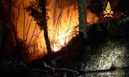 Vasto incendio a Pedavena: i vigili del fuoco domano le fiamme GALLERY