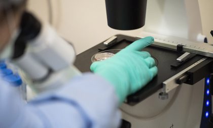 Biodiversity sampling week, ecco come diventare scienziati per un giorno a Belluno