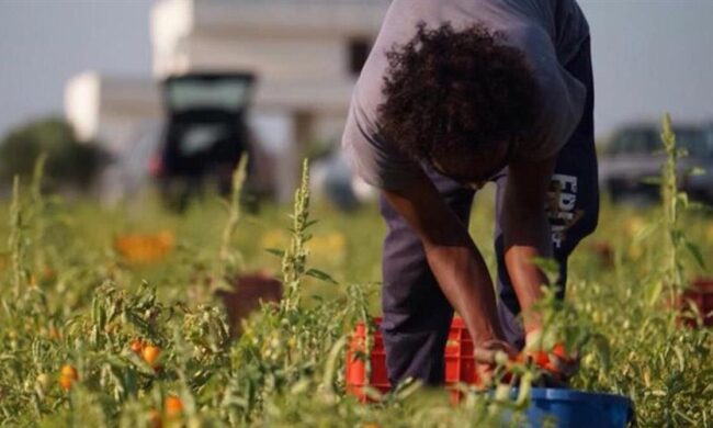 Sanatoria immigrati, dal Veneto un doppio “no”: “Servono i voucher”