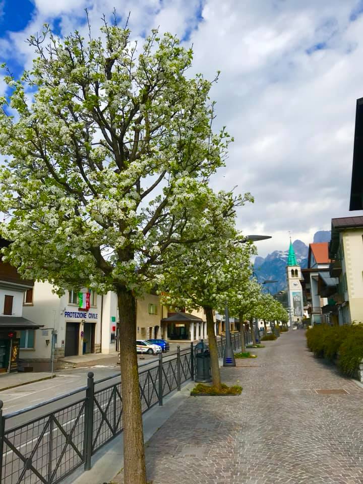 Auronzo, i provvedimenti economici e sociali della Giunta