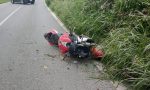 Sedico: motociclista veronese muore travolgendo un cervo