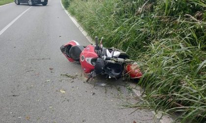 Sedico: motociclista veronese muore travolgendo un cervo