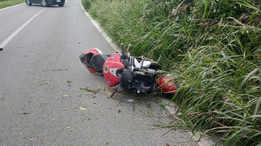 Sedico: motociclista veronese muore travolgendo un cervo