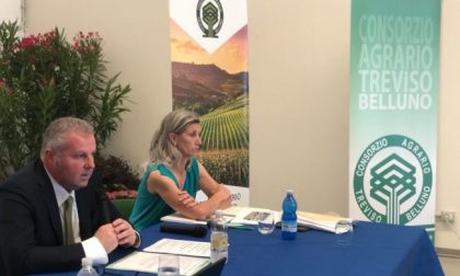 Consorzio agrario di Treviso e Belluno, il bilancio 2019 supera i 100 milioni di euro