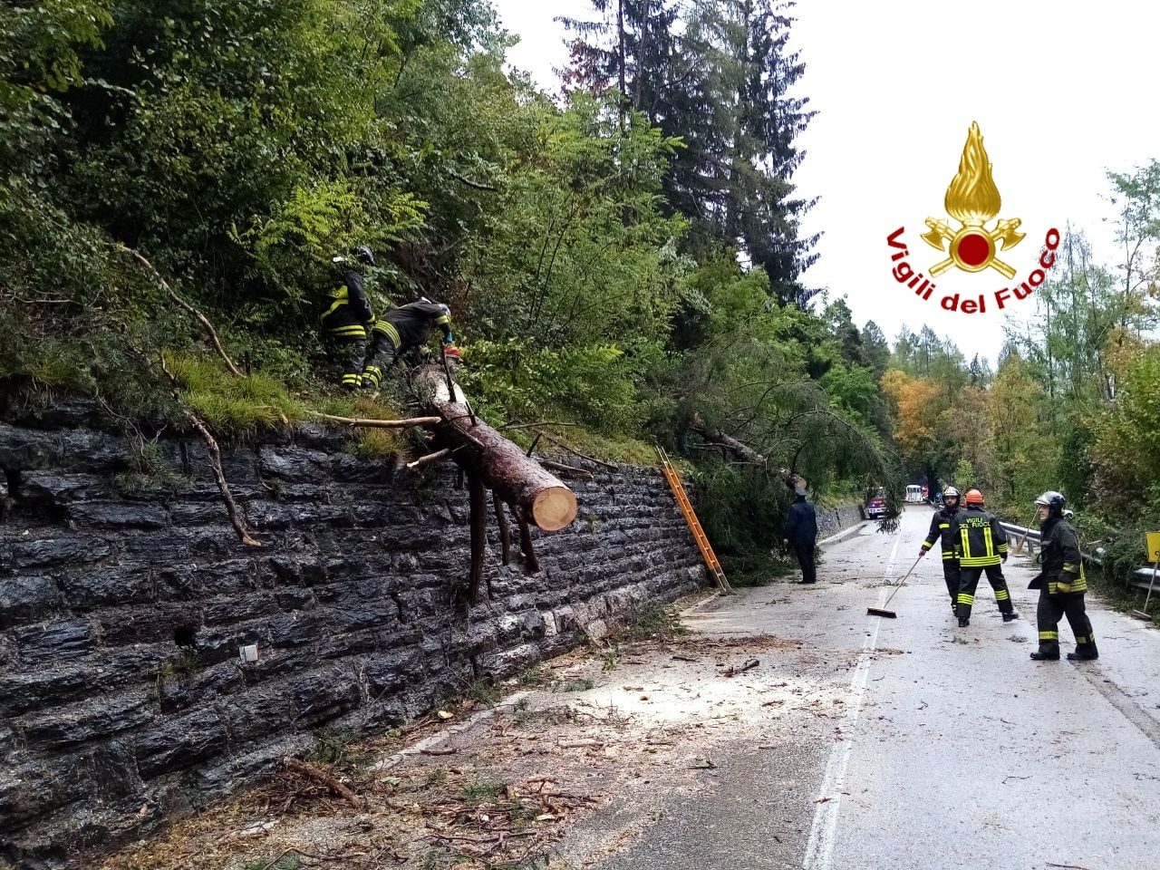 Maltempo Belluno e provincia, alberi sradicati: 25 interventi dei Vigili del fuoco – FOTO