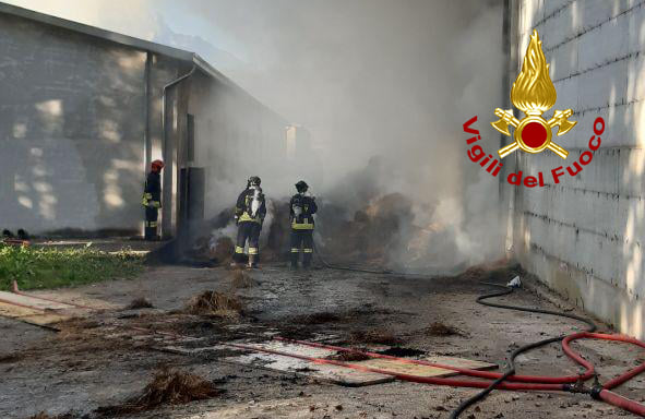Maxi incendio nel capannone di un'azienda agricola a Sedico: in salvo 50 tori - FOTO