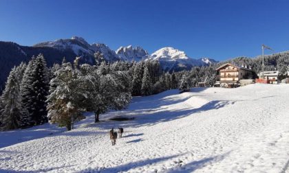 Neve fino a 1000 metri sulle Dolomiti: un fine settimana di maltempo in provincia di Belluno