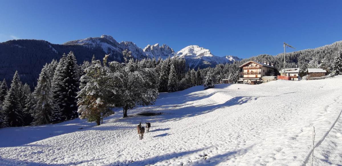 Neve fino a 1000 metri sulle Dolomiti: un fine settimana di maltempo in provincia di Belluno