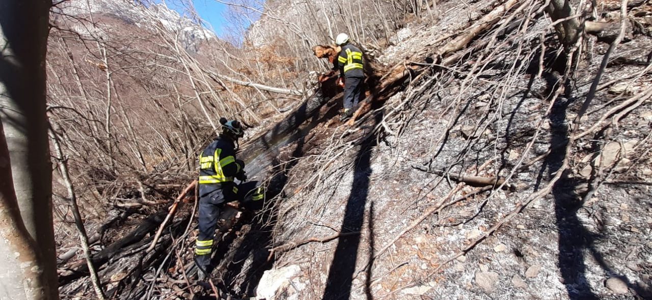 Dichiarato lo stato di grave pericolosità per gli incendi boschivi