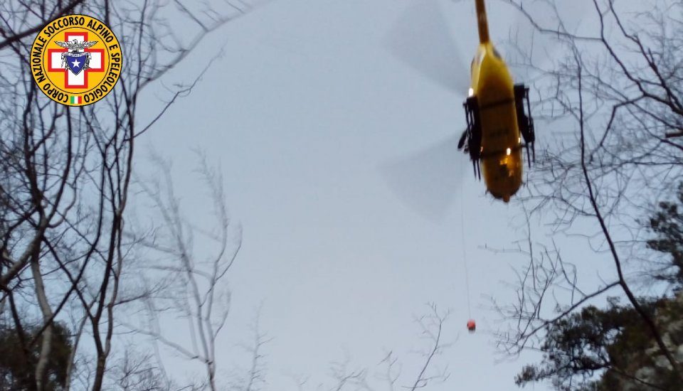 Travolto da un tronco in Cadore, boscaiolo recuperato dall’elisoccorso