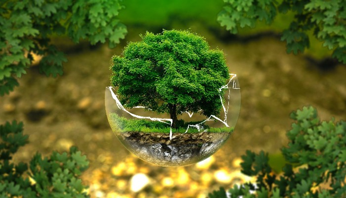 Bando per il progetto di ricerca “CaN Be – Carbon Neutral Belluno”