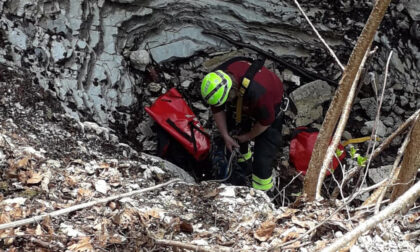 Setter cade in una forra di 50 metri: salvata dai pompieri dopo 5 giorni