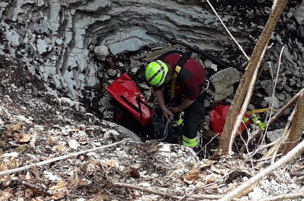 Setter cade in una forra di 50 metri: salvata dai pompieri dopo 5 giorni