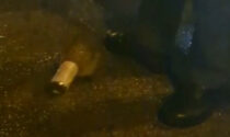 Il video del riccio incastrato in una lattina liberato dai poliziotti