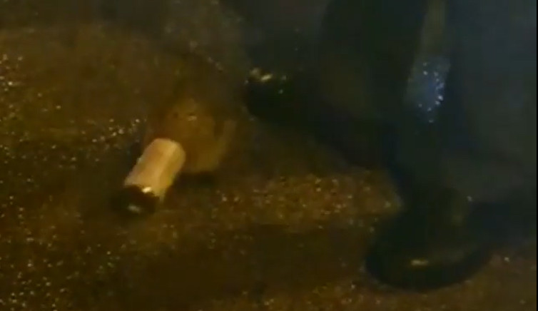 Il video del riccio incastrato in una lattina liberato dai poliziotti