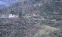 Rimboschimento in Val Visdende dopo la tempesta Vaia: progetto da 100mila euro