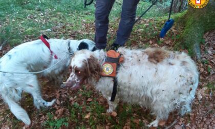 Due cani finiscono in una forra, Scott e Teo recuperati dal soccorso Alpino