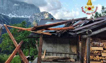 Maltempo nel Bellunese: pali pericolanti, alberi caduti e tetti danneggiati