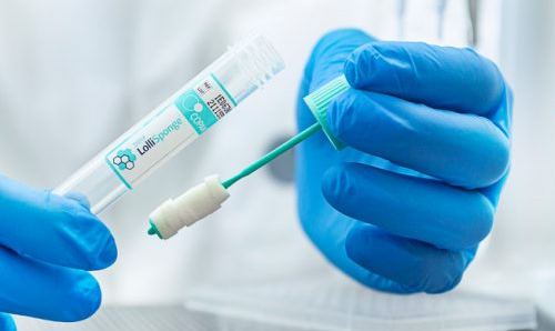 Partito il progetto scuole sentinella per sorvegliare l’epidemia Covid-19