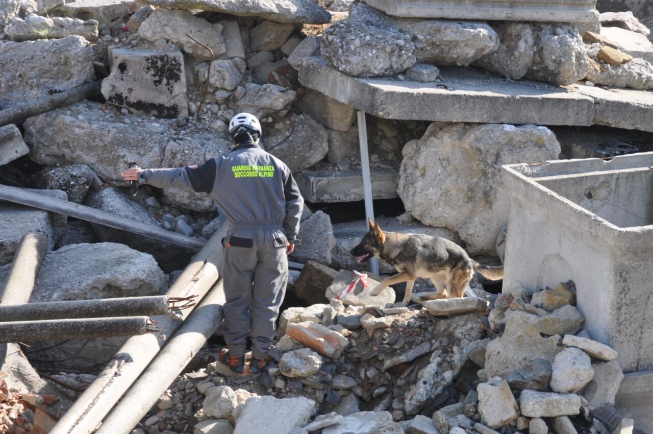 Il commissario Rex parla bellunese e salva vite tra le macerie