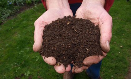 Veneto, filiera del compost a rischio: i produttori contro la Regione