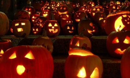 Cosa fare ad Halloween con i bambini a Belluno e Provincia: gli eventi 2024