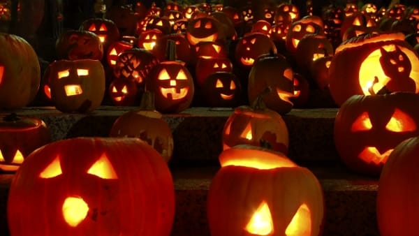 Cosa fare ad Halloween con i bambini a Belluno e Provincia: gli eventi 2024