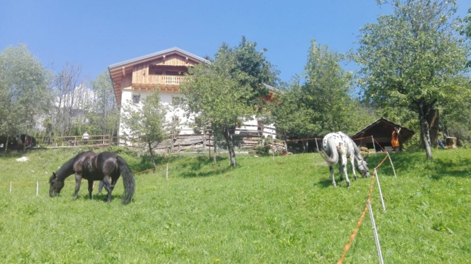 Ex bancario lascia la città e si trasferisce con la famiglia in un borgo disabitato