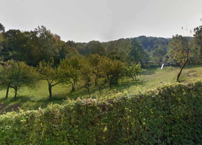 Grida d’aiuto nel bosco: uomo ferito alla testa da un ramo mentre stava facendo legna