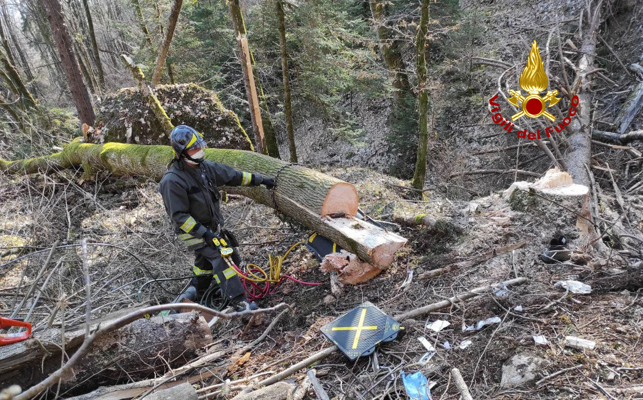 Boscaiolo intrappolato con un arto sotto l'albero che stava tagliando