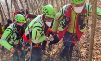 62enne esce a far legna: una pianta lo colpisce violentemente sul volto