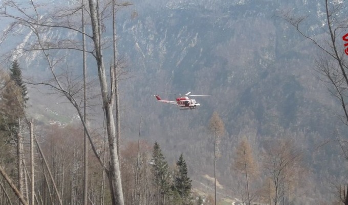 Operaio travolto e ucciso da un albero a Gosaldo