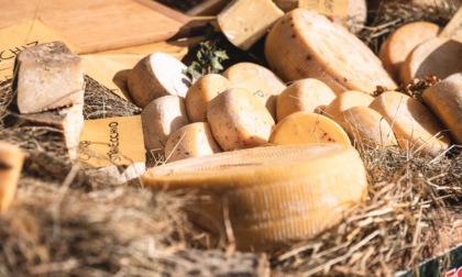 Mangia un formaggio a latte crudo, grave bimbo di un anno