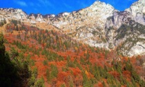 Alla scoperta del "foliage": i colori caldi delle Dolomiti