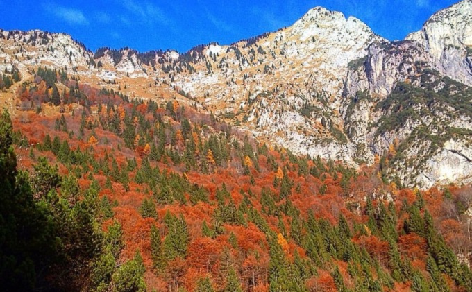 Alla scoperta del “foliage”: i colori caldi delle Dolomiti
