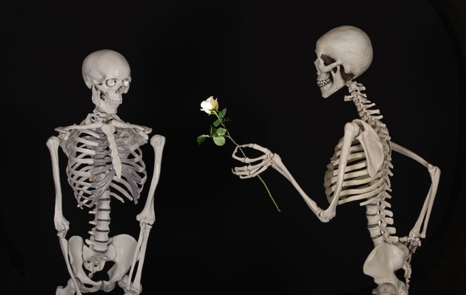 Osteoporosi: giornata di sensibilizzazione a Feltre
