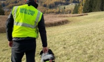 69enne esce dalla casa di riposo e sparisce nel nulla: ritrovato il giorno dopo disteso in un prato