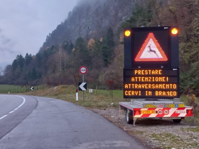 Sicurezza stradale, in programmazione tre corridoi faunistici entro il 2024
