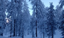 Arriva la neve in montagna: gli auguri di Zaia per l'avvio della stagione invernale