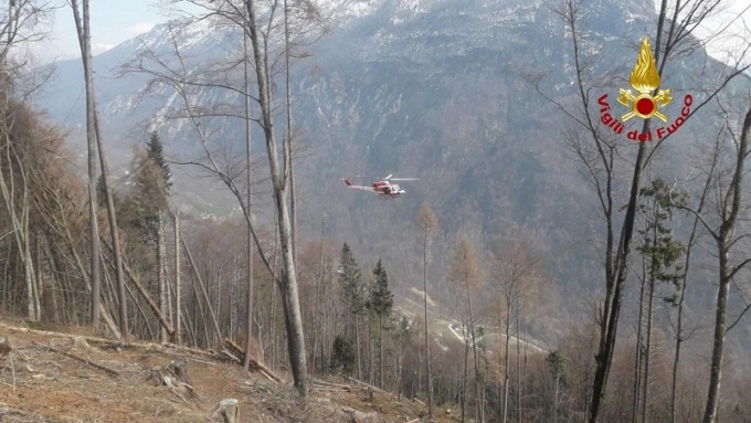 Schiacciato e ucciso dai tronchi a Gosaldo: a processo il datore di lavoro