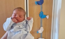 Altri due neonati all'ospedale di Belluno: nomi e foto