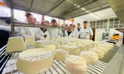 Insegnare ai ragazzi l’antica arte del “far formaggio”: partiti i corsi per casaro