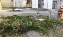 Erba e arbusti sulle tombe: avviata dal Comune la pulizia dei cimiteri