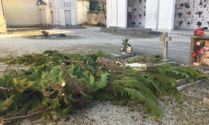 Erba e arbusti sulle tombe: avviata dal Comune la pulizia dei cimiteri