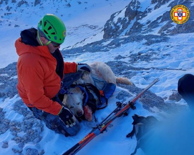 Si sfila il collare per inseguire una pernice ma precipita per 500 metri