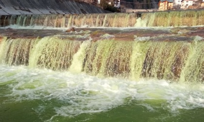 Piave di colore verde: "È menta, venite con le damigiane”